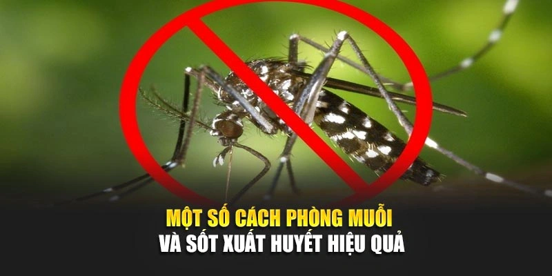Một số c&aacute;ch ph&ograve;ng muỗi v&agrave; sốt xuất huyết hiệu quả