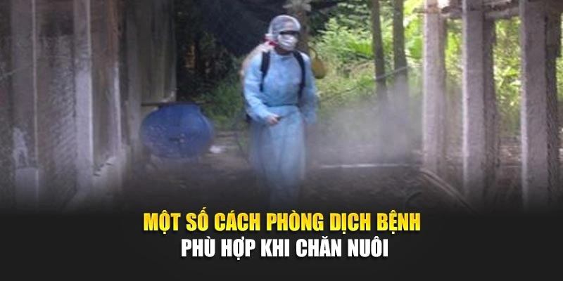Một số c&aacute;ch ph&ograve;ng dịch bệnh ph&ugrave; hợp khi chăn nu&ocirc;i