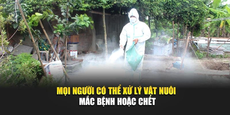 Mọi người c&oacute; thể xử l&yacute; vật nu&ocirc;i mắc bệnh hoặc chết