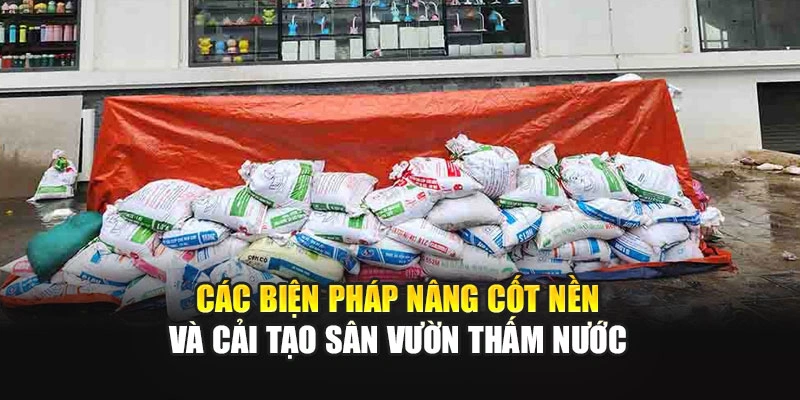 Các biện pháp nâng cốt nền và cải tạo sân vườn thấm nước