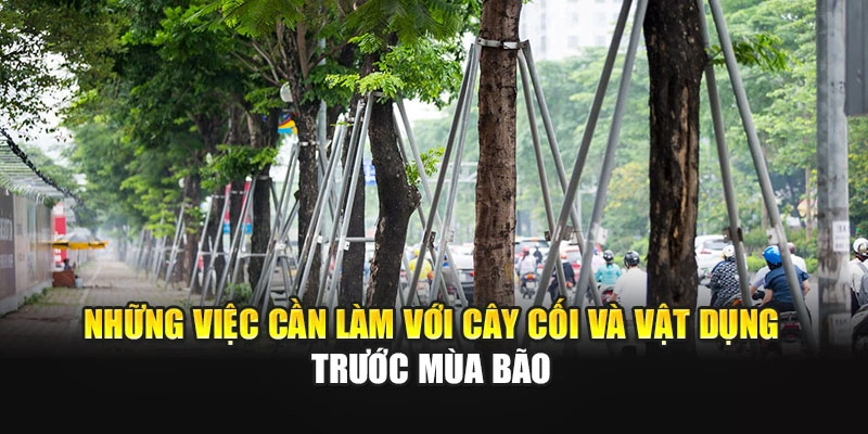 Những việc cần làm với cây cối và vật dụng trước mùa bão