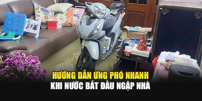 Hướng dẫn ứng phó nhanh khi nước bắt đầu ngập nhà