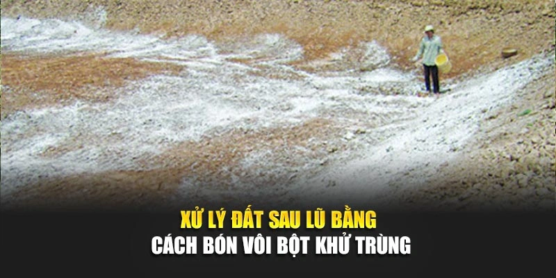 Xử l&yacute; đất sau lũ bằng c&aacute;ch b&oacute;n v&ocirc;i bột khử tr&ugrave;ng