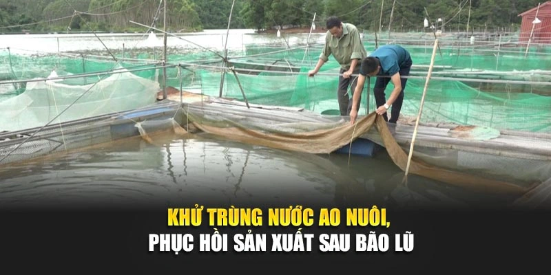 Khử tr&ugrave;ng nước ao nu&ocirc;i, phục hồi sản xuất sau b&atilde;o lũ