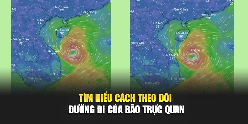 T&igrave;m hiểu c&aacute;ch theo d&otilde;i đường đi của b&atilde;o trực quan