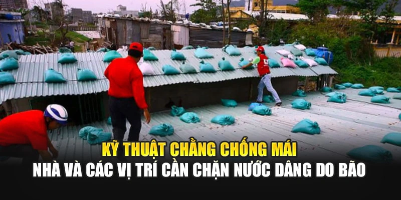 Kỹ thuật chằng chống m&aacute;i nh&agrave; v&agrave; c&aacute;c vị tr&iacute; cần chặn nước d&acirc;ng do b&atilde;o