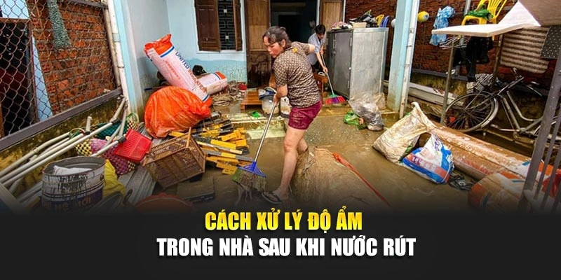 C&aacute;ch xử l&yacute; độ ẩm trong nh&agrave; sau khi nước r&uacute;t