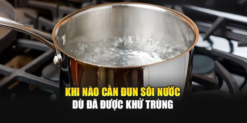 Khi n&agrave;o cần đun s&ocirc;i nước d&ugrave; đ&atilde; được khử tr&ugrave;ng