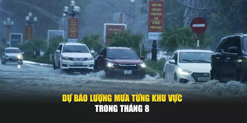 Dự báo lượng mưa từng khu vực trong tháng 8