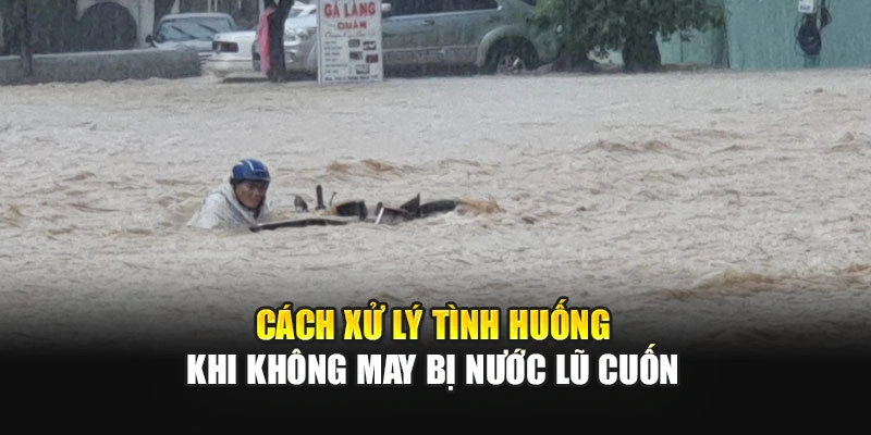 C&aacute;ch xử l&yacute; t&igrave;nh huống khi kh&ocirc;ng may bị nước lũ cuốn