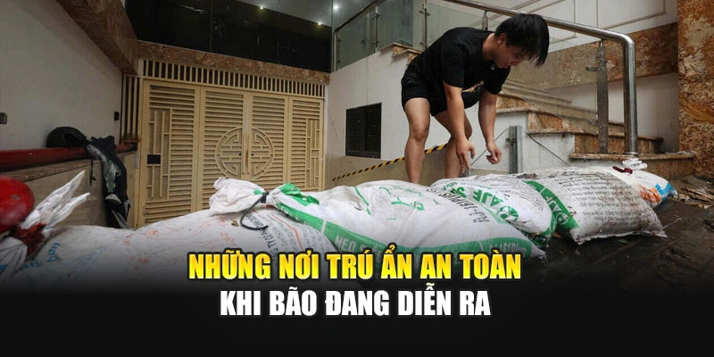 Những nơi trú ẩn an toàn khi bão đang diễn ra