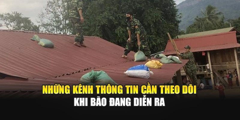 Những kênh thông tin cần theo dõi khi bão đang diễn ra