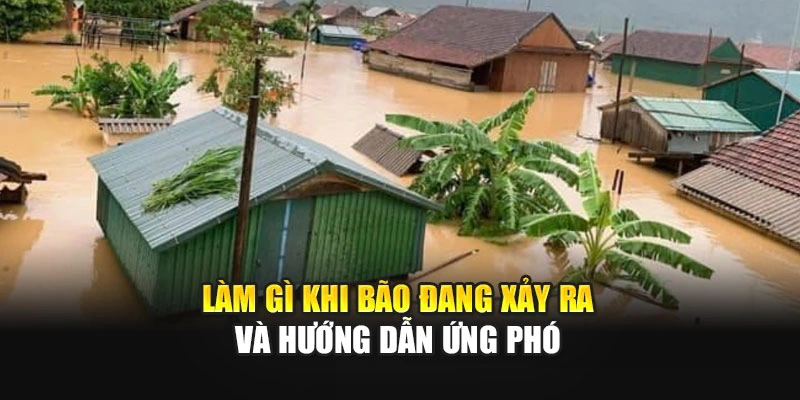 Làm gì khi bão đang xảy ra và hướng dẫn ứng phó
