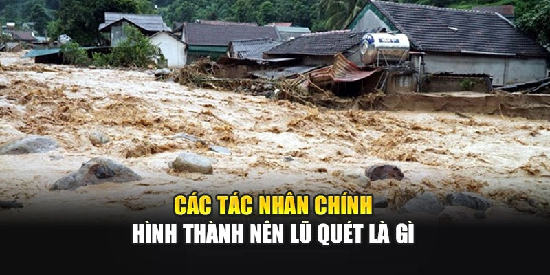 Các tác nhân chính hình thành nên lũ quét là gì