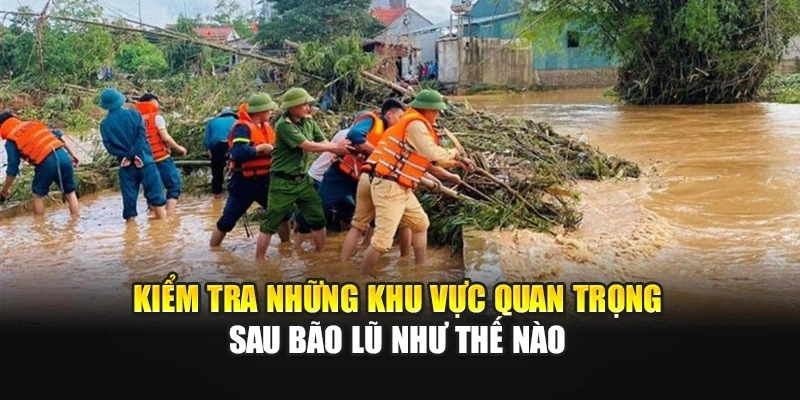 Kiểm tra những khu vực quan trọng sau b&atilde;o lũ như thế n&agrave;o