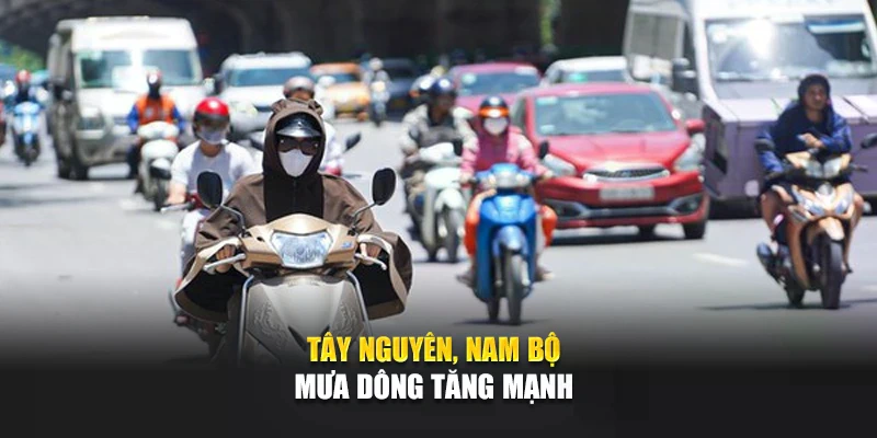 T&acirc;y Nguy&ecirc;n, Nam Bộ mưa d&ocirc;ng tăng mạnh