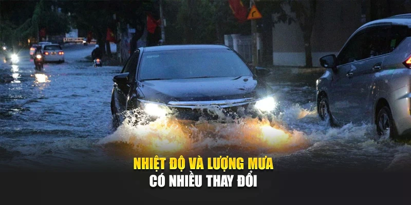 Nhiệt độ và lượng mưa có nhiều thay đổi