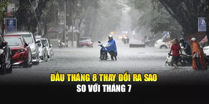 Đầu tháng 8 thay đổi ra sao so với tháng 7