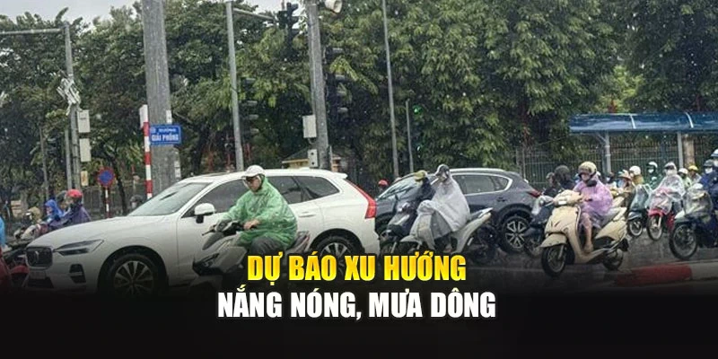 Dự báo xu hướng nắng nóng, mưa dông