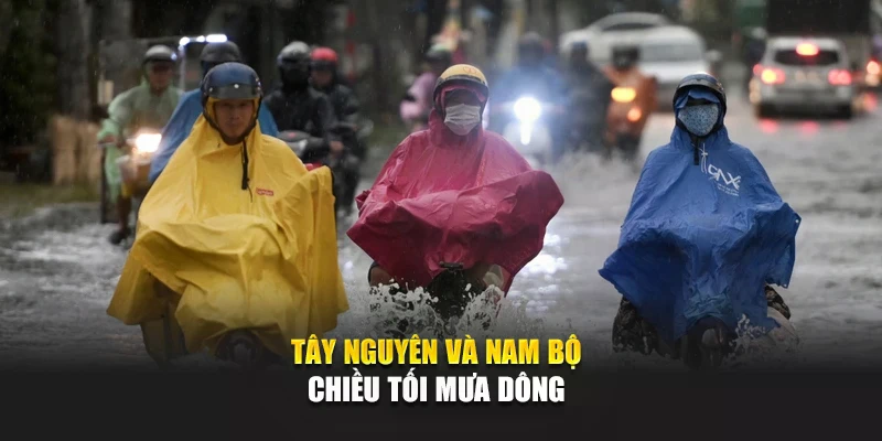 Tây Nguyên và Nam Bộ chiều tối mưa dông