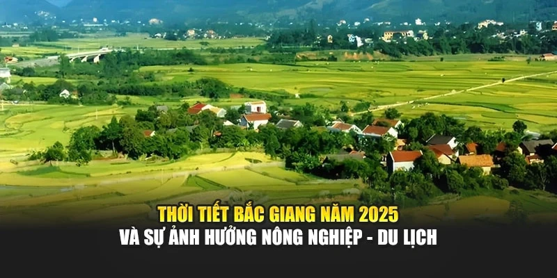 Tháng 1–12 trong tổng hợp thời tiết Bắc Giang năm 2025