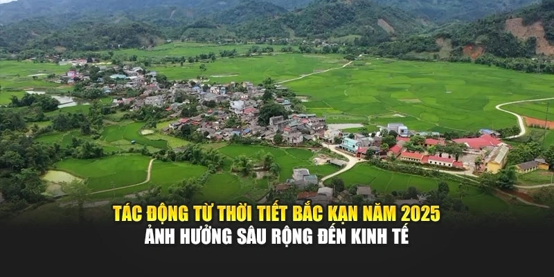 T&aacute;c động từ thời tiết Bắc Kạn năm 2025 ảnh hưởng s&acirc;u rộng đến kinh tế