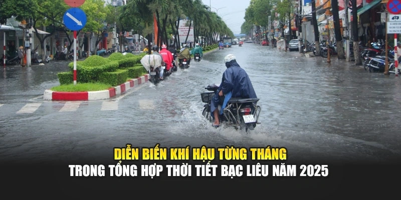 Diễn biến kh&iacute; hậu từng th&aacute;ng trong tổng hợp thời tiết Bạc Li&ecirc;u năm 2025