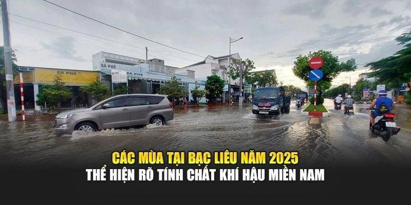 C&aacute;c m&ugrave;a tại Bạc Li&ecirc;u năm 2025 thể hiện r&otilde; t&iacute;nh chất kh&iacute; hậu miền Nam