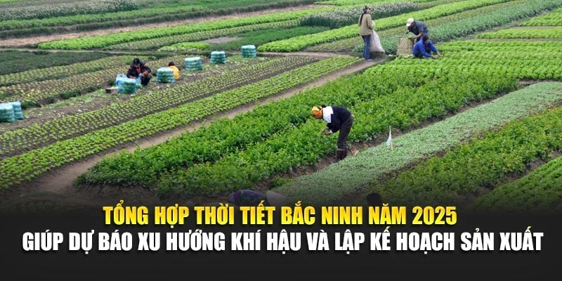 Tổng hợp thời tiết Bắc Ninh năm 2025 gi&uacute;p dự b&aacute;o xu hướng kh&iacute; hậu v&agrave; lập kế hoạch sản xuất.