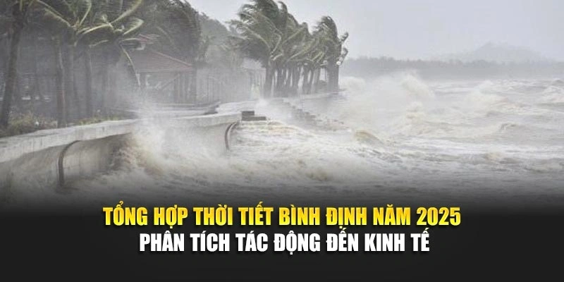 Tổng hợp thời tiết Bình Định năm 2025 phân tích tác động đến kinh tế