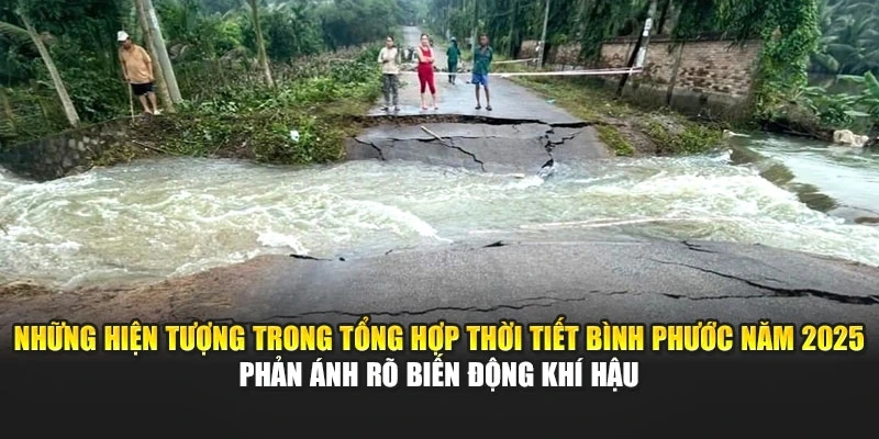 Những hiện tượng trong tổng hợp thời tiết Bình Phước năm 2025 phản ánh rõ biến động khí hậu