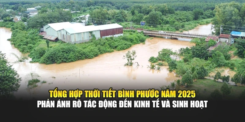 Tổng hợp thời tiết Bình Phước năm 2025 phản ánh rõ tác động đến kinh tế và sinh hoạt