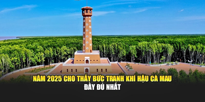 Năm 2025 cho thấy bức tranh kh&iacute; hậu C&agrave; Mau đầy đủ nhất