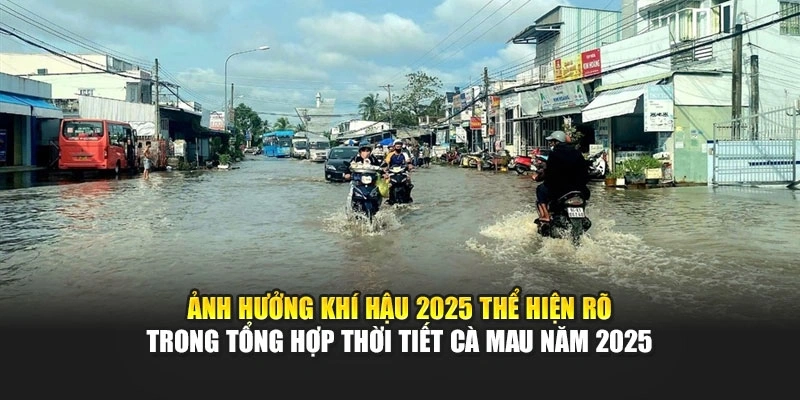 Ảnh hưởng kh&iacute; hậu 2025 thể hiện r&otilde; trong tổng hợp thời tiết C&agrave; Mau năm 2025