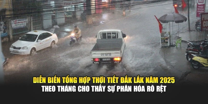 Diễn biến tổng hợp thời tiết Đắk Lắk năm 2025 theo tháng cho thấy sự phân hóa rõ rệt