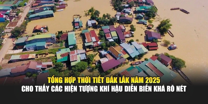Tổng hợp thời tiết Đắk Lắk năm 2025 cho thấy các hiện tượng khí hậu diễn biến khá rõ nét