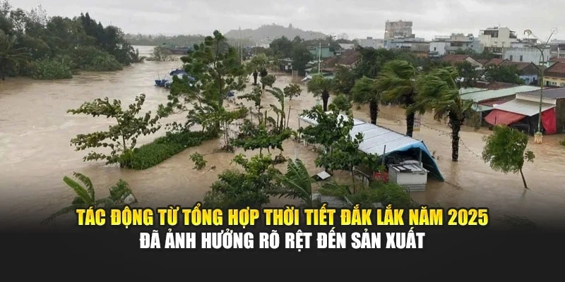 Tác động từ tổng hợp thời tiết Đắk Lắk năm 2025 đã ảnh hưởng rõ rệt đến sản xuất