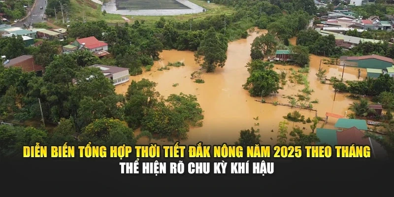 Diễn biến tổng hợp thời tiết Đắk Nông năm 2025 theo tháng thể hiện rõ chu kỳ khí hậu