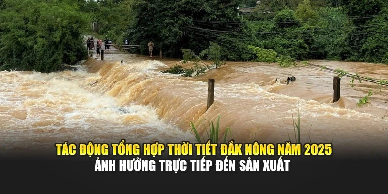 Tác động tổng hợp thời tiết Đắk Nông năm 2025 ảnh hưởng trực tiếp đến sản xuất