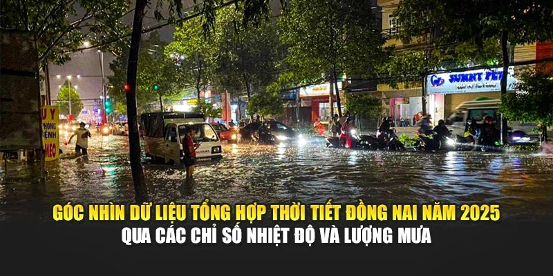 Góc nhìn dữ liệu tổng hợp thời tiết Đồng Nai năm 2025 qua các chỉ số nhiệt độ và lượng mưa