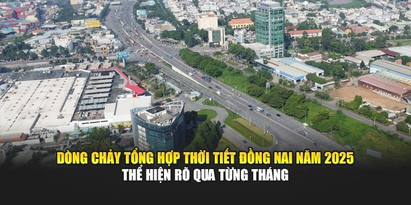 Dòng chảy tổng hợp thời tiết Đồng Nai năm 2025 thể hiện rõ qua từng tháng