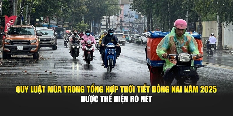 Quy luật mùa trong tổng hợp thời tiết Đồng Nai năm 2025 được thể hiện rõ nét