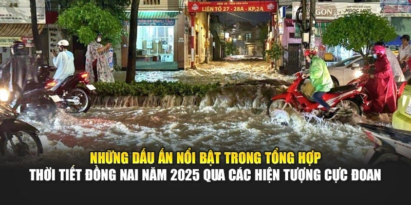 Những dấu ấn nổi bật trong tổng hợp thời tiết Đồng Nai năm 2025 qua các hiện tượng cực đoan