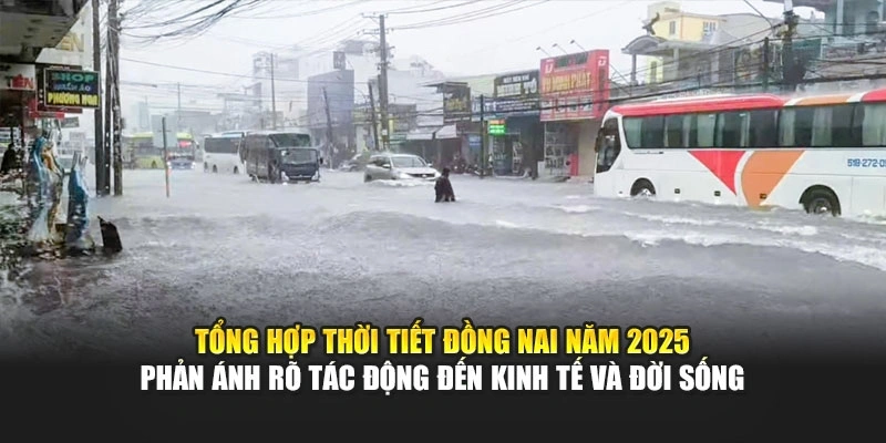 Tổng hợp thời tiết Đồng Nai năm 2025 phản ánh rõ tác động đến kinh tế và đời sống