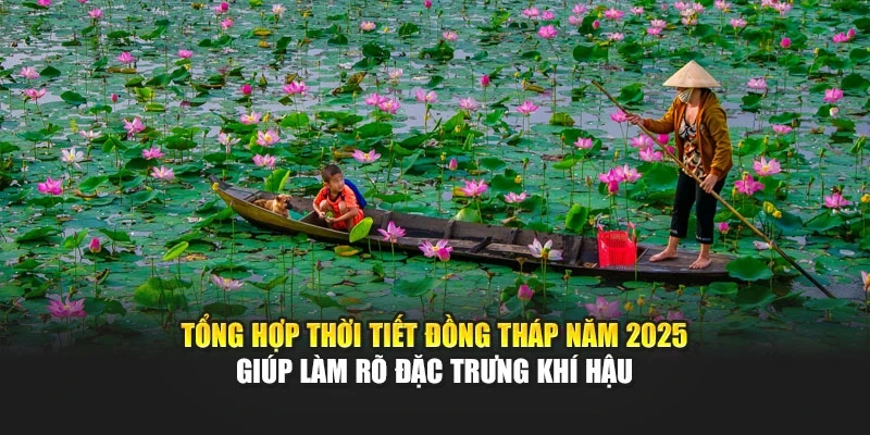 Tổng hợp thời tiết Đồng Th&aacute;p năm 2025 gi&uacute;p l&agrave;m r&otilde; đặc trưng kh&iacute; hậu