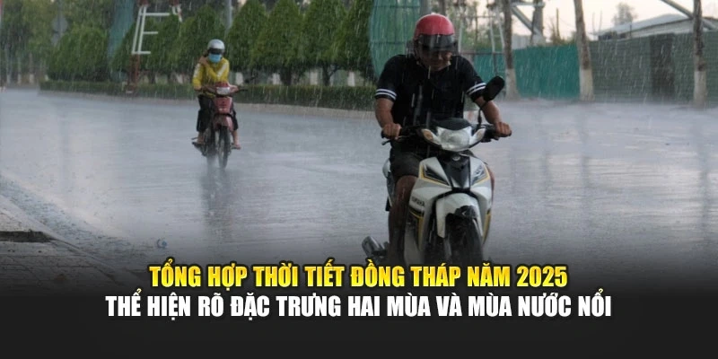 Tổng hợp thời tiết Đồng Th&aacute;p năm 2025 thể hiện r&otilde; đặc trưng hai m&ugrave;a v&agrave; m&ugrave;a nước nổi