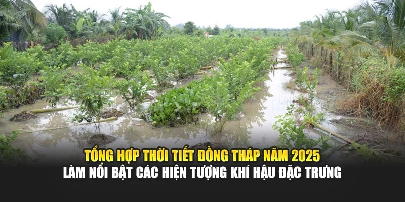 Tổng hợp thời tiết Đồng Th&aacute;p năm 2025 l&agrave;m nổi bật c&aacute;c hiện tượng kh&iacute; hậu đặc trưng