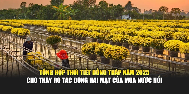 Tổng hợp thời tiết Đồng Th&aacute;p năm 2025 cho thấy r&otilde; t&aacute;c động hai mặt của m&ugrave;a nước nổi