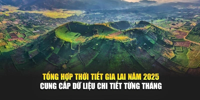 Tổng hợp thời tiết Gia Lai năm 2025 cung cấp dữ liệu chi tiết từng tháng