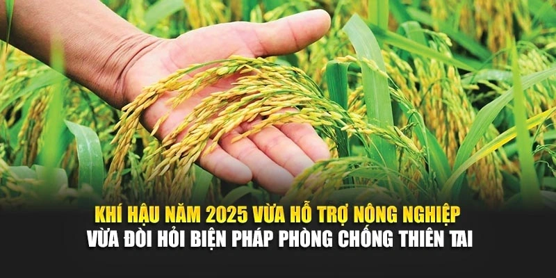 Khí hậu năm 2025 vừa hỗ trợ nông nghiệp vừa đòi hỏi biện pháp phòng chống thiên tai